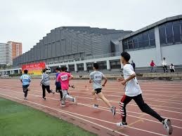 国际排联制作各国队长暖心圣诞贺图 龚翔宇江川戴上圣诞帽俏皮可爱