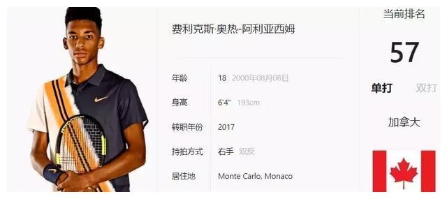 样一个对细 样一个对细